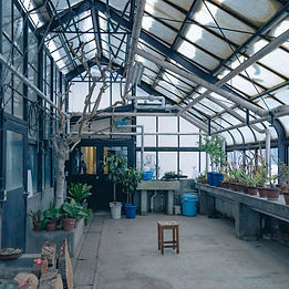 アノオンシツは、北海道大学の古い温室で実施されているアートプロジェクトです。