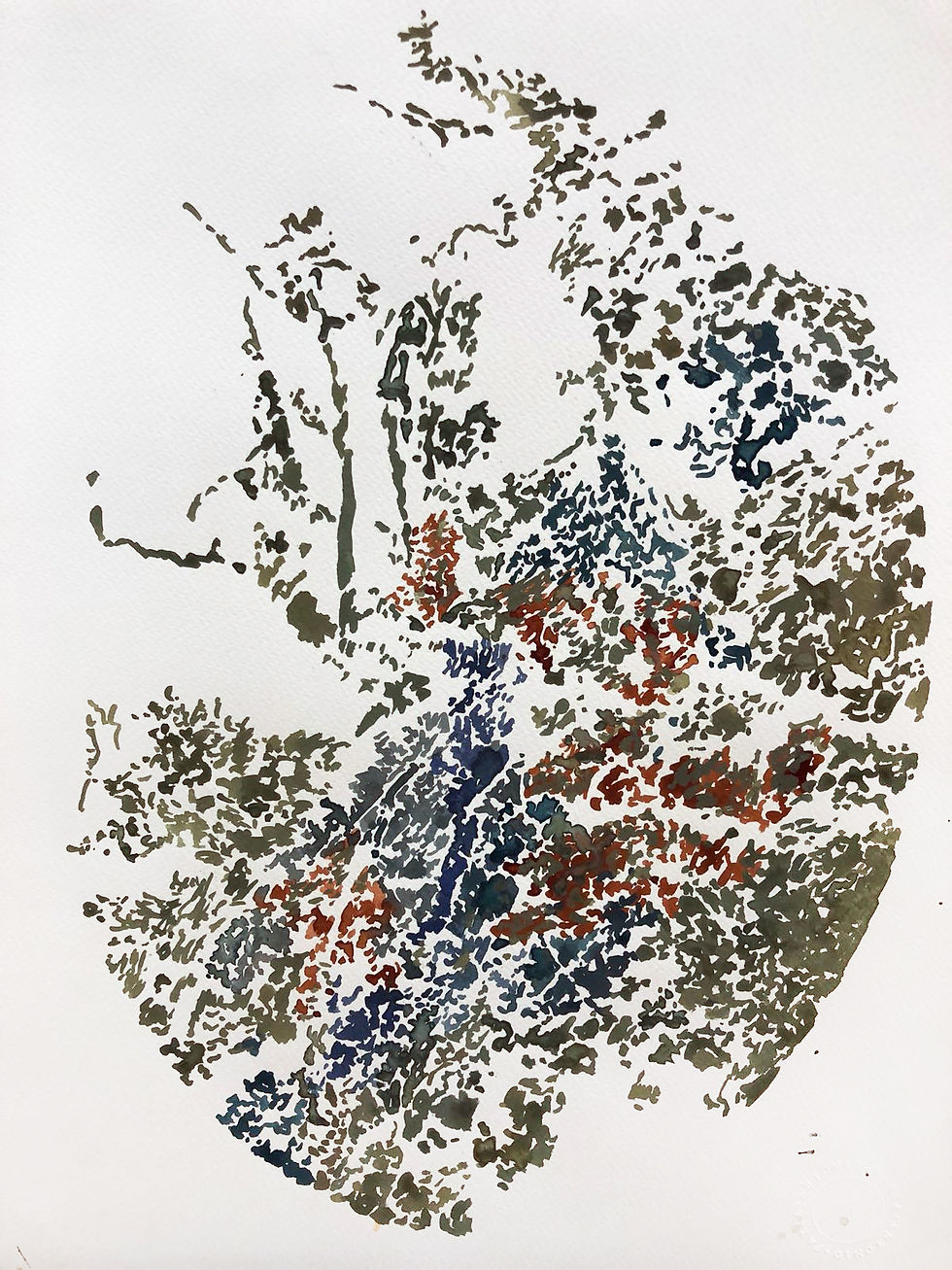 Untitled #24