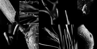 #3 from Schizophrenic Inquiry series (set of 10)