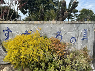 管理栄養士として、嚥下評価を毎日の食支援につなぐ