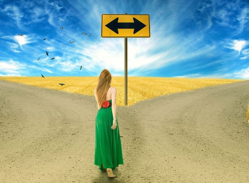 Woman in green dress stands at a fork in sandy roads beneath a yellow left-right arrow sign, with birds over a golden field and blue sky.