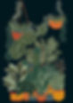 plants11.jpg