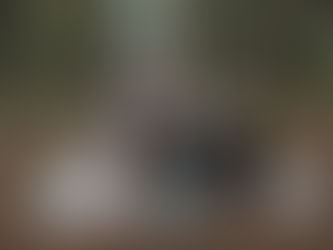 10 Easy Ways to Embrace a Sustainable Lifestyle Today