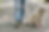guide-dog-helping-blind-man-city-handsome-blind-guy-have-rest-with-golden-retriever-city 1