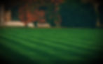 Lawn_edited.jpg