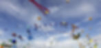 download_edited.jpg
