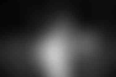 Freie Trauung Ostbevern