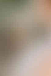 Besonderer Brautstrauß Ostbevern