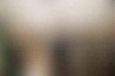 Freie Trauung Bad Iburg