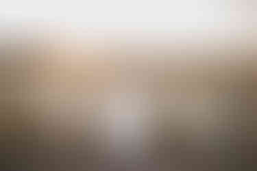 Hochzeitsfotografin Warendorf Brautjungfern