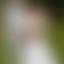 Braut mit Sohn auf dem Arm und Bräutigam daneben