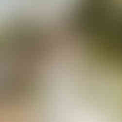 Brautpaar trinkt schnaps