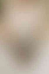 Harwerth Fotografie Floristik