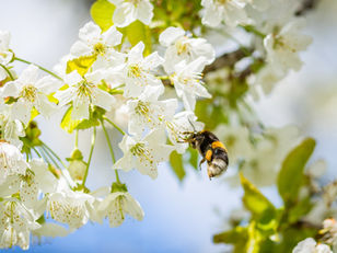Lekker richting de lente met het Duurzaamheidscafé