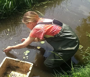 sara botschuijver.jpg