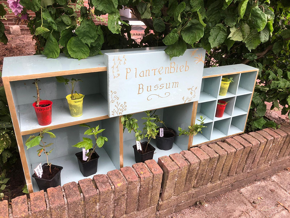 Plantjes in de plantenbieb in Bussum.