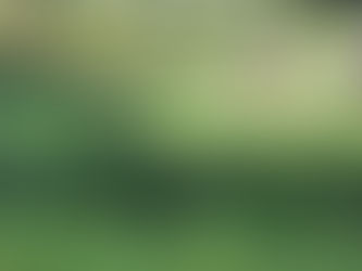 Open dag CSA LandinZicht 7 april