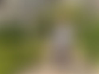 "Als je het kunt dromen, kun je het ook doen”: stadslandbouw binnen onze gemeentegrenzen