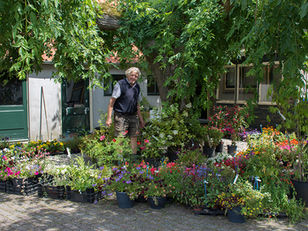 Biologische groentes planten in het najaar