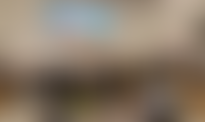 Groen licht voor de lisdodde deal