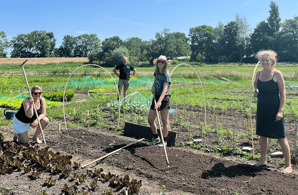 Moestuin Muiderberg op het land van boer Frans-Jan ter Beek.