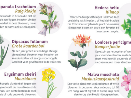 Win een plantenpakket