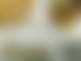 Grilled Chicken with a Mushroom and Cottage Cheese Sauce, Gnocchi and Roasted Vegetables, Wholemeal