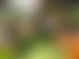 The Cooking Vessels at Amber Fort