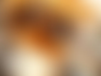 Nutrinibbles Protein Balls