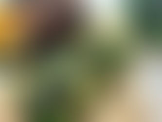 Simple, Healthy Wholesome