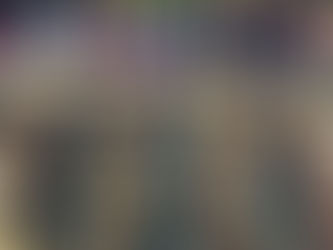 Chocolate Oat Muffins