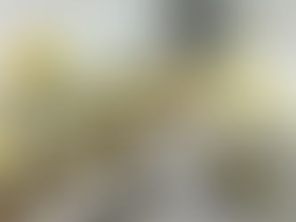 Nutrinibbles Lemon Cheesecake Tarts