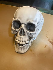 IMG_6289_edited.jpg