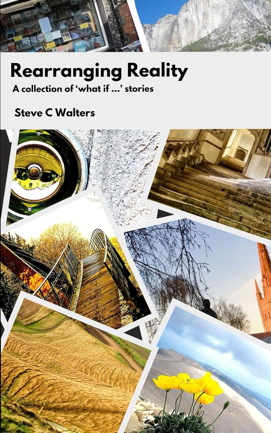 Rearranging Reality book by Steve Walters