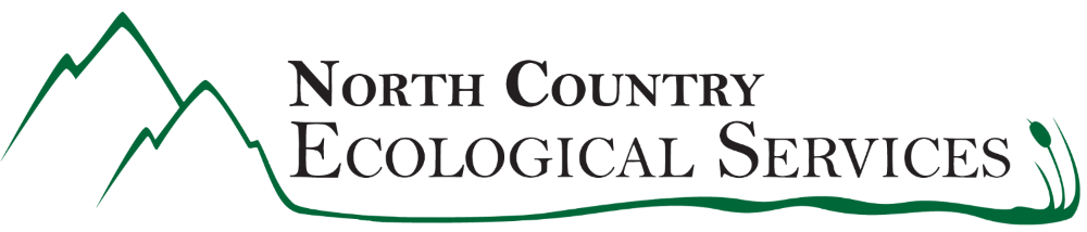 NCES-Logo-2025.png