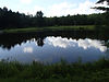 P7190038.JPG