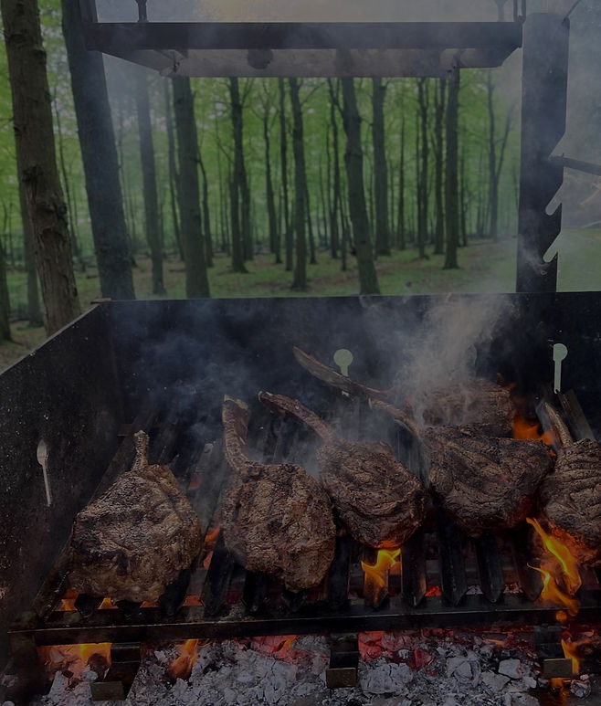 Grilling steaks outdoors, woodland background