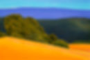 Nicasio Ranch