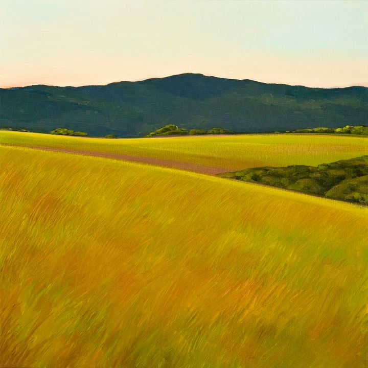 Springtime View