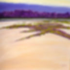 River and Sand Dune