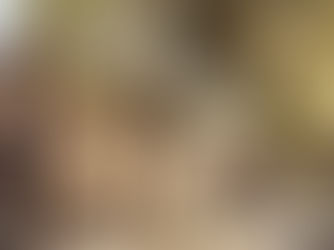 Working With The Developer