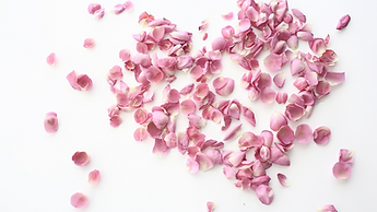 A CURA PELAS FLORES (2).png