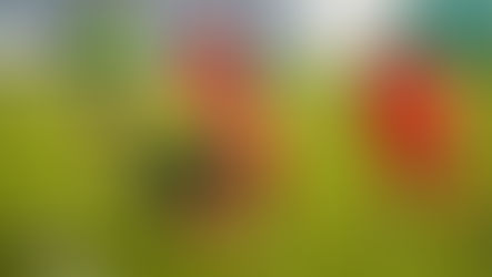 Sorozatban negyedik felkészülési mérkőzésünket is megnyertük!