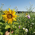 1db0950d-4154-4a89-83db-d1f4b95fb65e.jpg