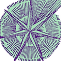 Image1.png