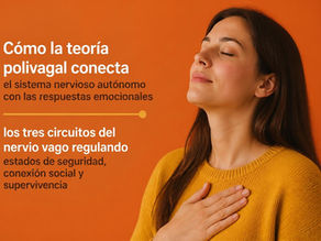 Teoría Polivagal: Tu Sistema Nervioso y las Emociones