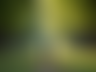 Descubre cómo 30 minutos de movimiento diario pueden transformar tu mente