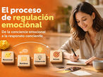 Regular Emociones: Guía Profesional de Gestión Emocional