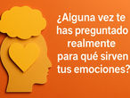 Guía Completa: Para Qué Son Las Emociones en 2026