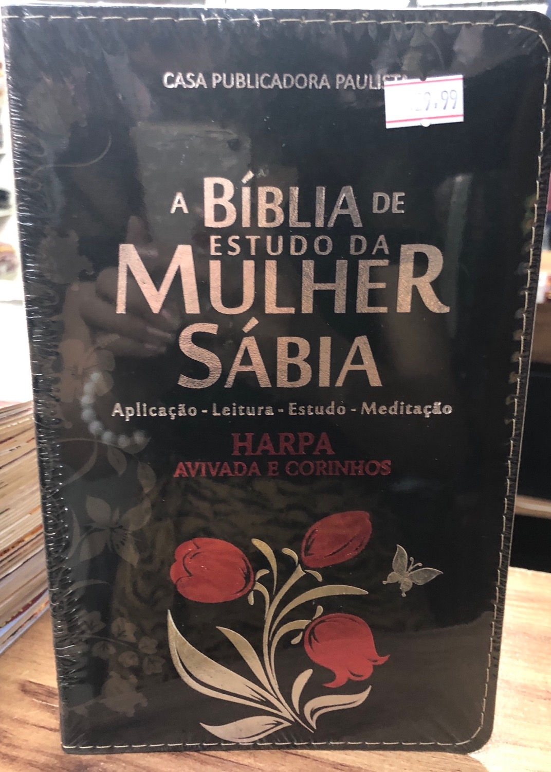 Biblia mulher sabia 